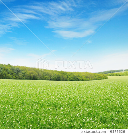 fields and sky 9575626