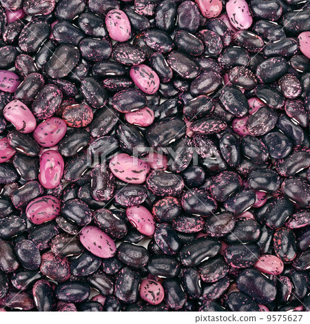 background from kidney beans background from kidney beans 9575627