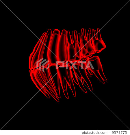 3d human red teeth - side view 9575775
