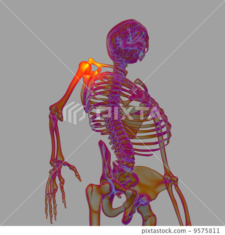 3d render human of sholder pain - bottom view 9575811
