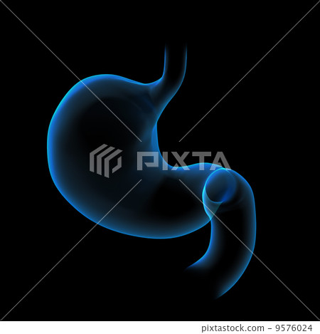 3d rendered illustration of the stomach 3d rendered illustration of the stomach 9576024