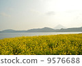 Nanohana and Lake Ikeda 9576688