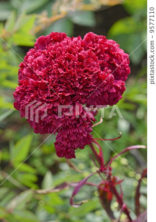 經人 經人 9577110