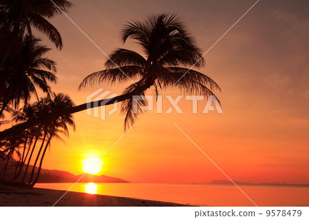 Sunset on tropical island 9578479