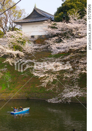 Chidorigafuchi在春天 9578906