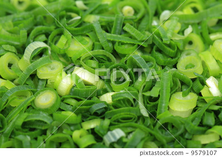 Green onion 9579107