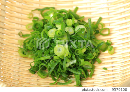 Green onion 9579108