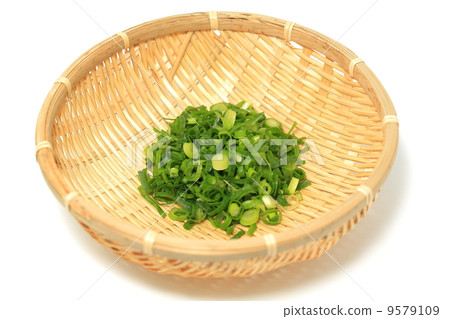 Green onion 9579109
