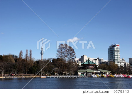 Shinobazu池塘 Shinobazu池塘 9579243