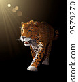 Jaguar, wild cat Panther by night - darkness, moonlight. Vector illustration 9579270