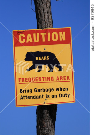 Caution road sign Caution road sign 9579946