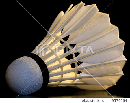Badminton shuttlecock 9579964