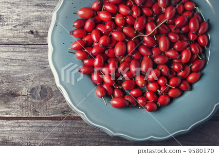 Plate of briar 9580170