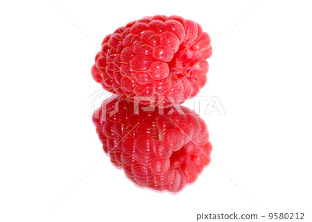 Raspberry 9580212