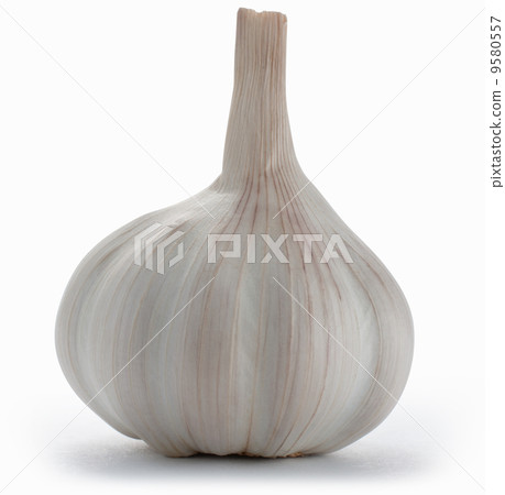 Garlic bulb isolated on white with clipping path Garlic bulb isolated on white with clipping path 9580557