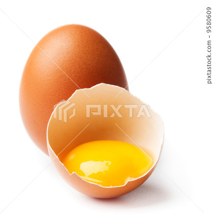 Egg 9580609