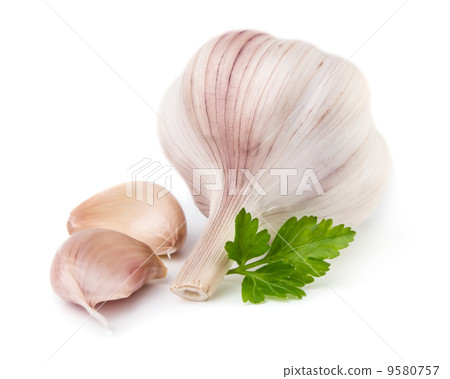 Garlic Garlic 9580757