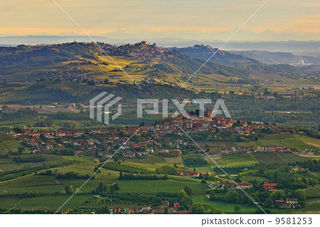 Green hills and vineyards in Piedmont, Italy. 9581253