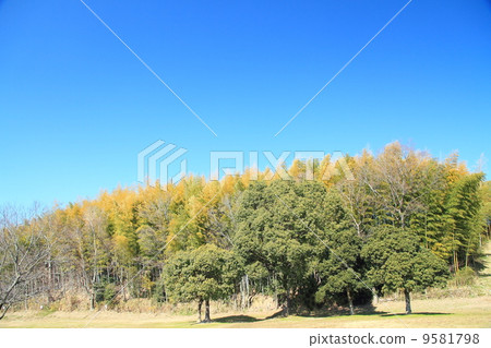 winter park 9581798
