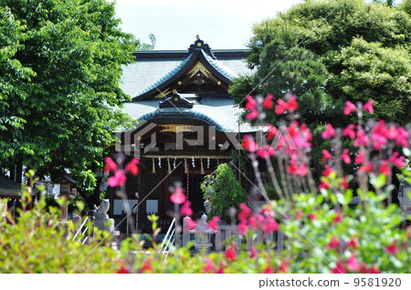 Kashiwagi Shrine 9581920