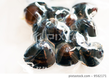 Shizimi的真空包裝 9582171