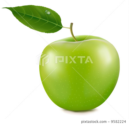 Green apple. Vector 9582224