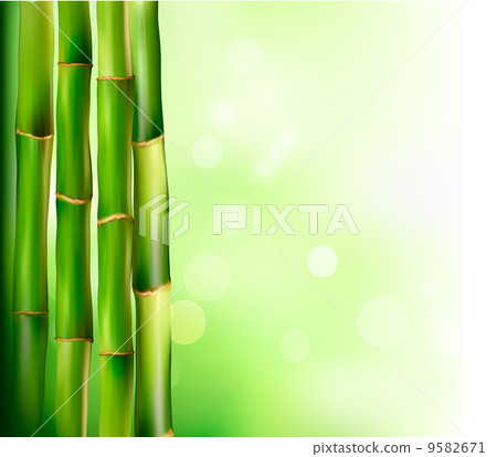 Bamboo background. Vector illustration. 9582671