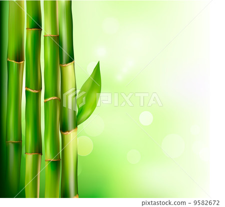 Bamboo background. Vector illustration. 9582672
