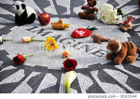 在中央公園的草莓領域 9583544