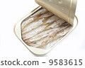 oil sardine 9583615