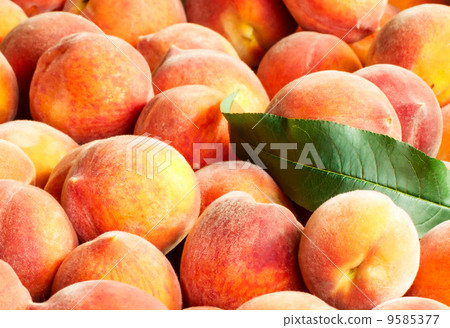 Peaches Peaches 9585377