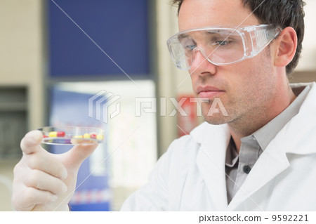 Male scientist analyzing pills in the laboratory Male scientist analyzing pills in the laboratory 9592221