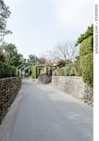 武士知識屋 9593009