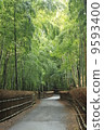  Bamboo grove 9593400