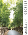  Bamboo grove 9593416