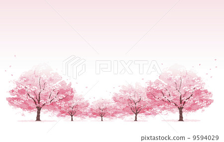 Row of cherry trees 9594029