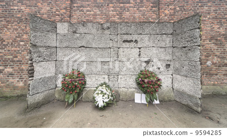 Auschwitz-Birkenau 9594285