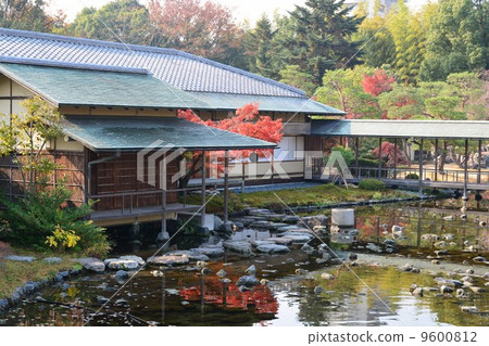 白鳥園在秋天 9600812