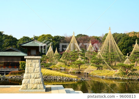 白色花園在秋天夜光和Kiisei Tatei 9600813