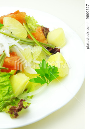 春天蔬菜沙拉 9600827