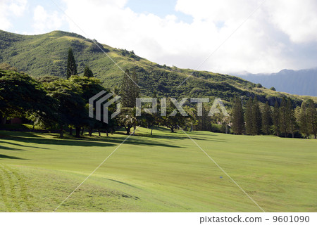 America Hawaii Mid Pacific Golf 9601090