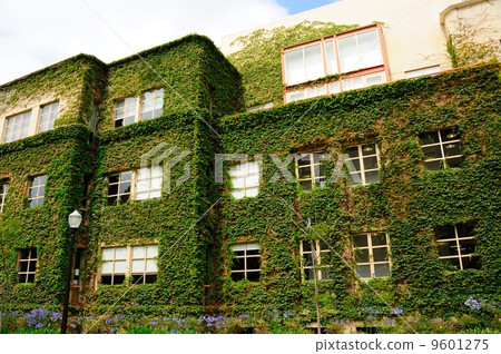 America Los Angeles UCLA 9601275