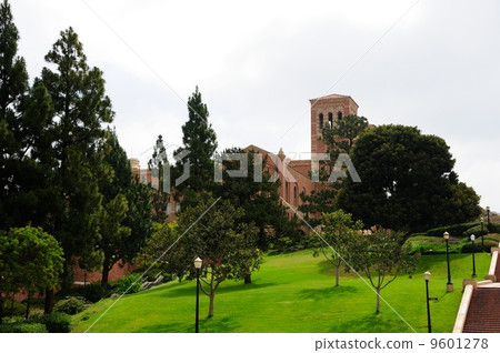 America Los Angeles UCLA America Los Angeles UCLA 9601278