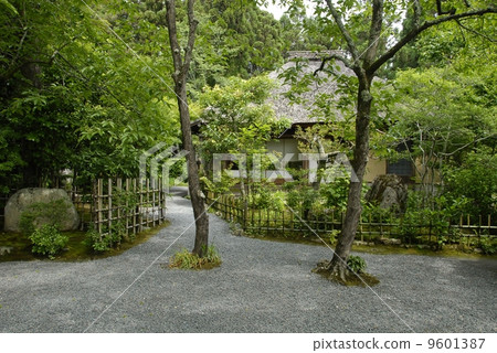 京都Arashiyama Rakushin議院風景 9601387