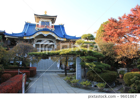 Shinmatsu研究所 Shinmatsu研究所 9601867