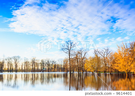 Spring landscape with flooded trees Spring landscape with flooded trees 9614401