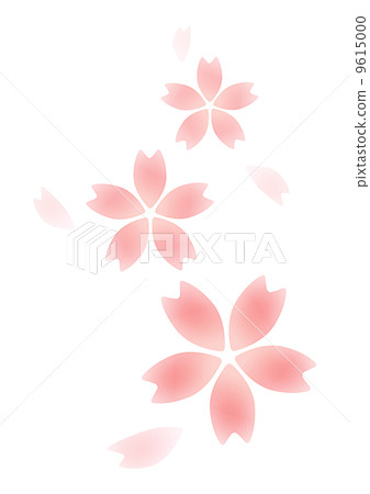 Cherry blossoms 9615000