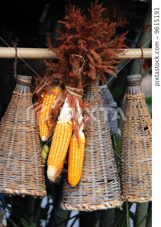 玉米和bic 9615191