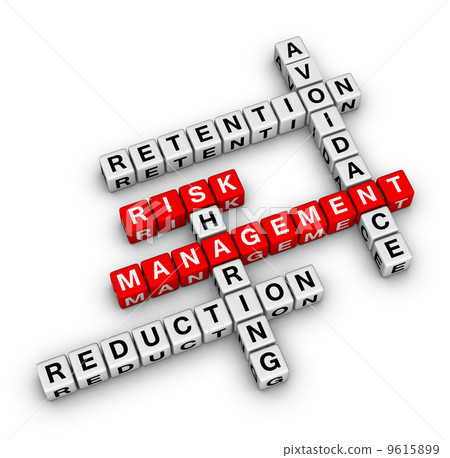 risk management 9615899