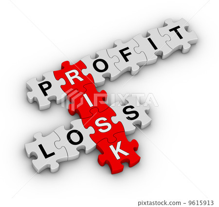 risk management 9615913